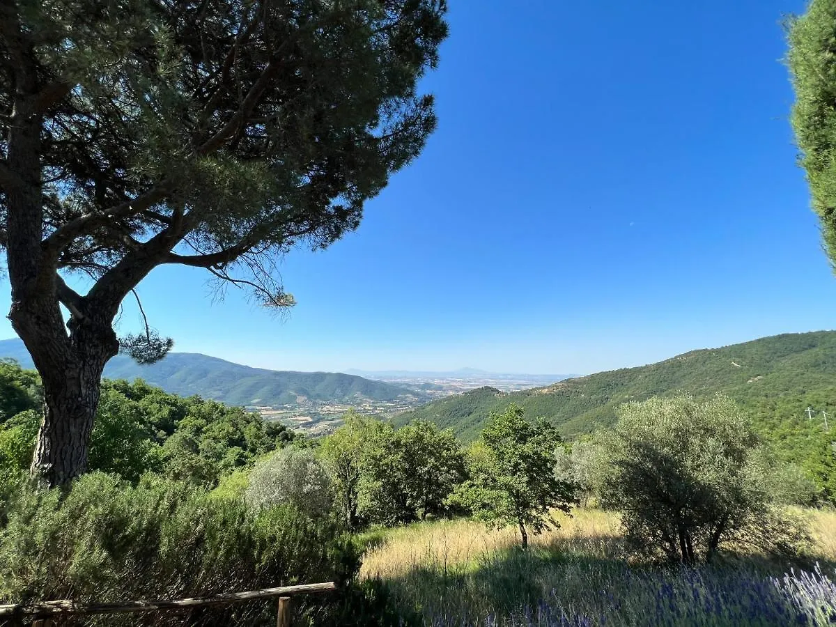 Coppa Di Sopra - Beautiful Villa With Superb View Santa Cristina   Santa Cristina (Arezzo)